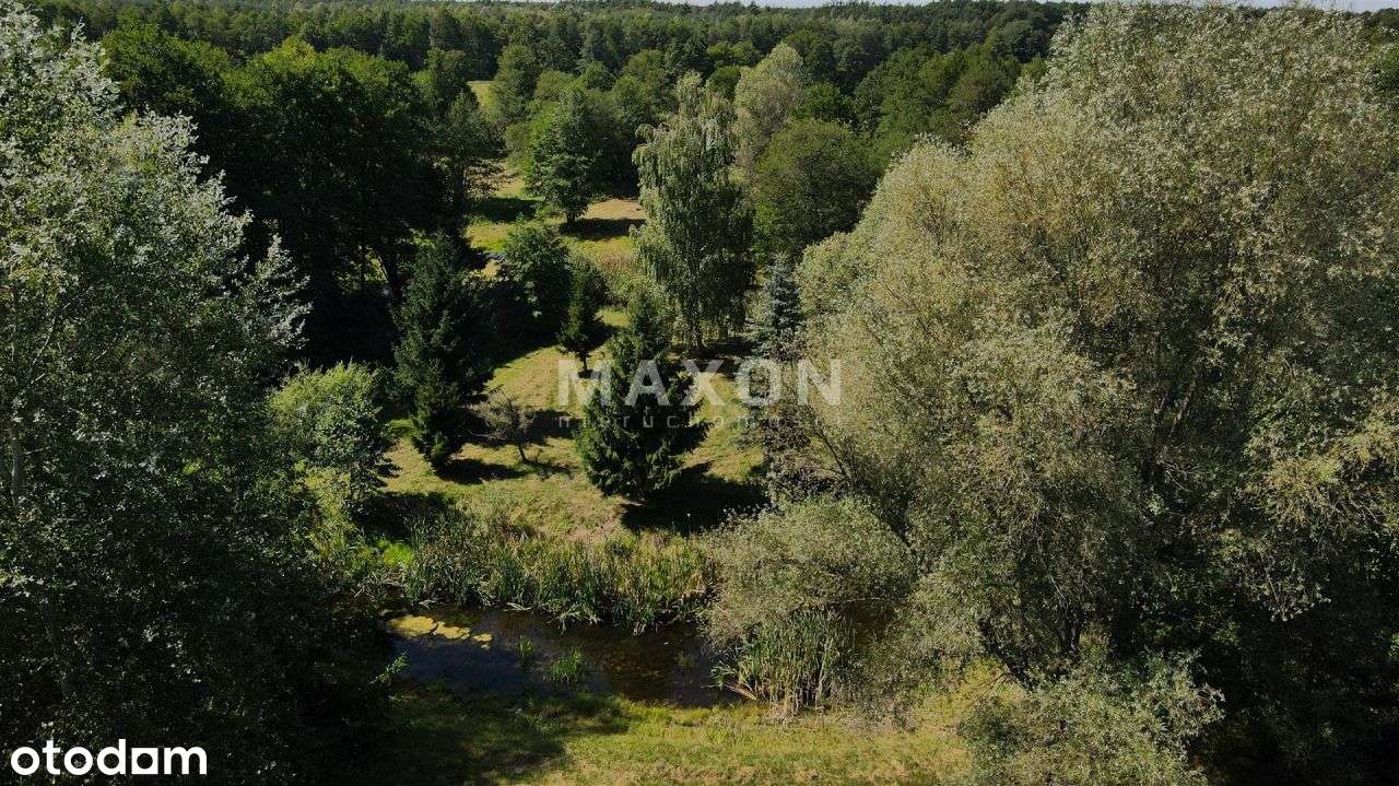 Unikalna działka - Łubno, Gmina Wiskitki - Pełny obrazek: 5/16