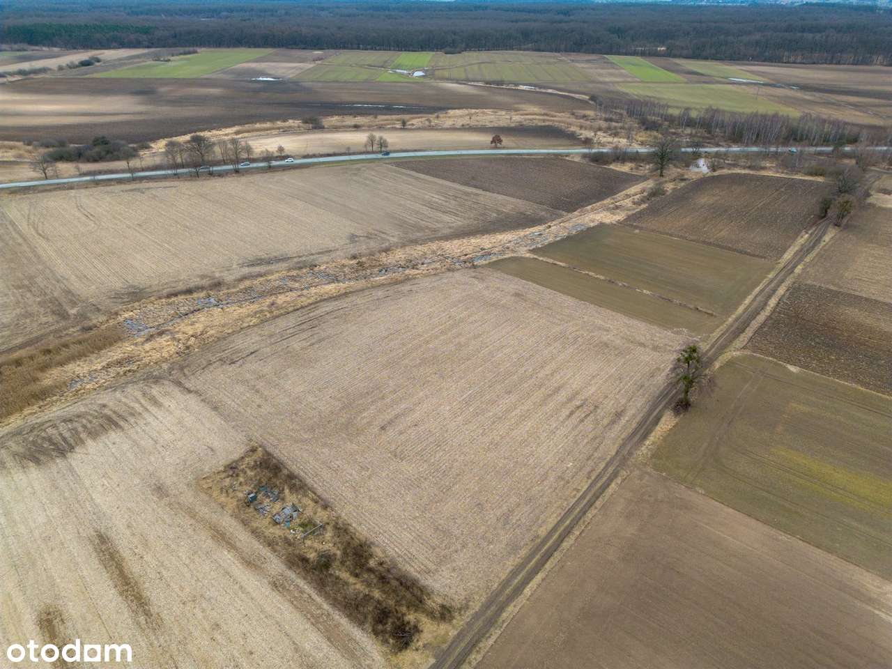 Działka Rolna 11 618 m2 pod Bystrzycą (Oława)-2