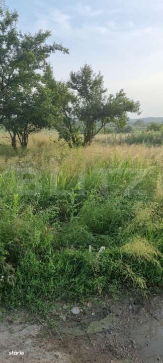 Teren extravilan, zona industriala, 3300 mp - Imagine principală: 4/4