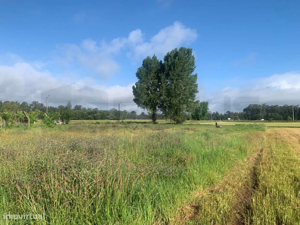 Terreno para construção em Estarreja - Grande imagem: 4/10