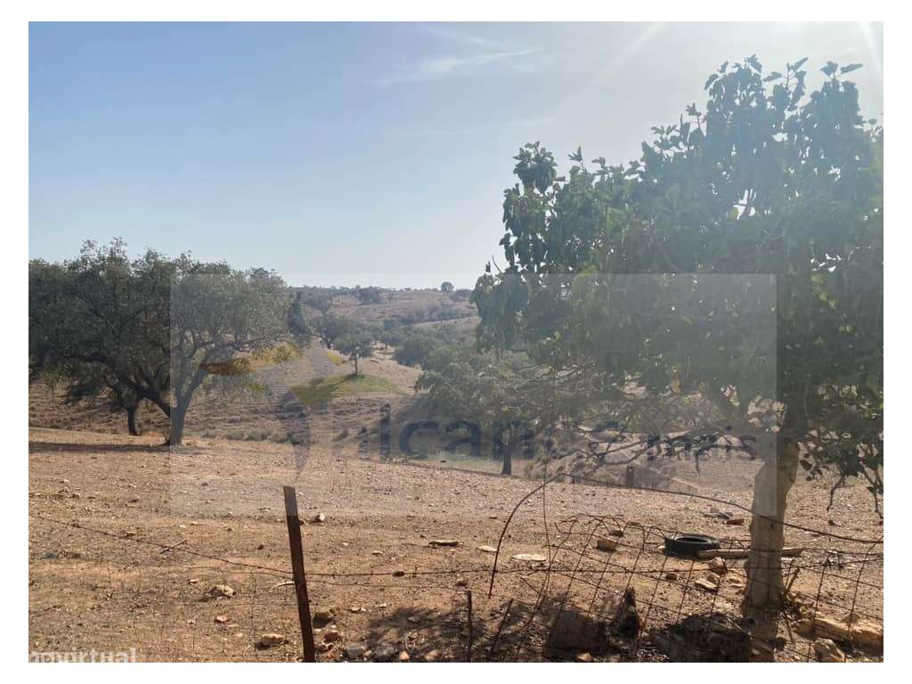 Propriedade de 35 ha - com Monte em Ruínas em Serpa-14