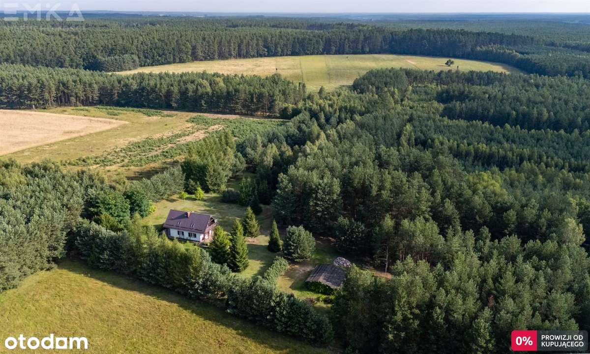 Wyjątkowy dom w środku lasu Bory Tucholskie 2,5Ha-2