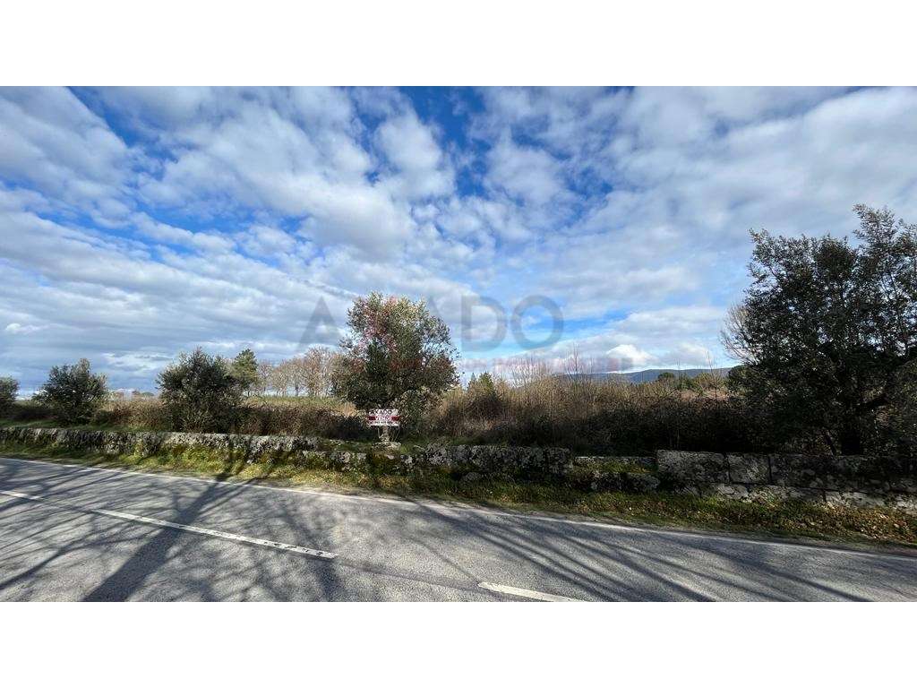 Terreno - Grande imagem: 4/8