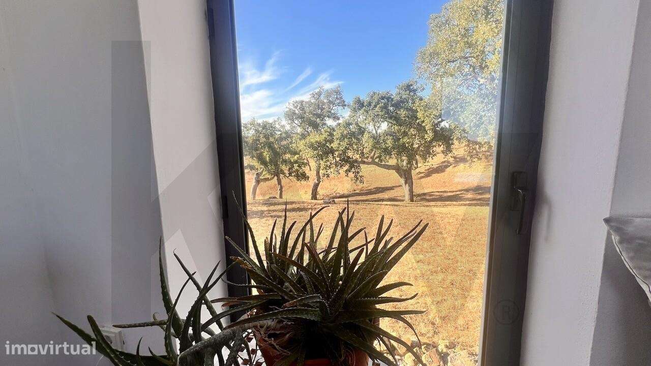 Propriedade única na Serra de Grândola - Terreno de 6,9 ha com vista p-27