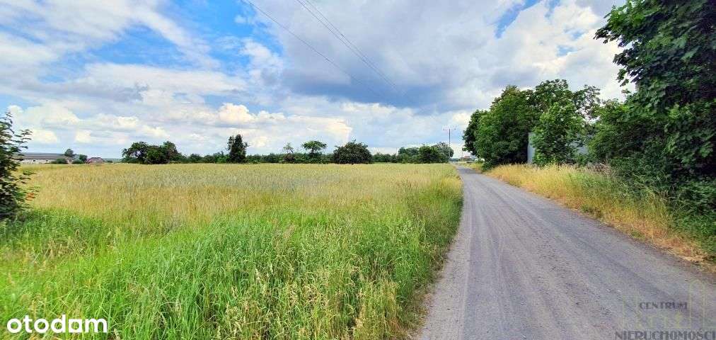 Nowe kameralne osiedle w Niałku Wielkim - Pełny obrazek: 4/4