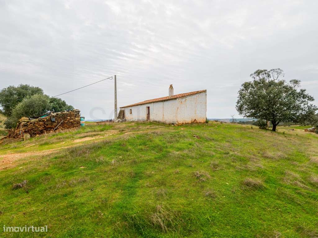 Investimento em Serpa: 6,5ha c/ Viabilidade Turística-12