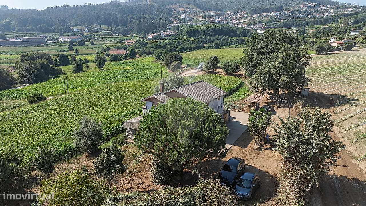 Quinta T3 para venda-15