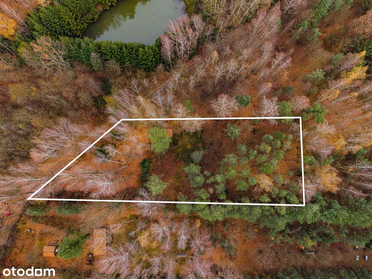 Działka 2646 m² z prądem - Tomaszówka, gm. Pniewy, 1,5km od DK50-3