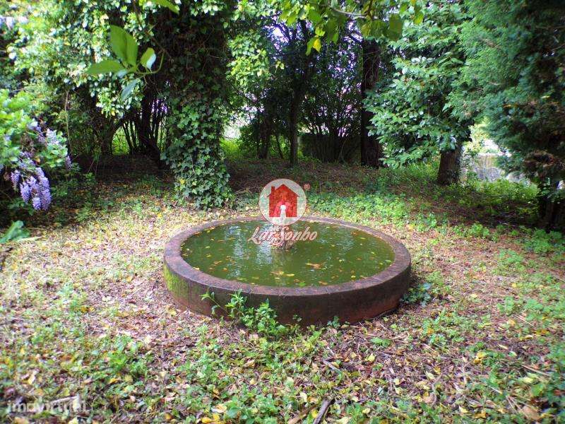 Quintinha com 7.200 m2 para 2 moradias individuais em Brufe - Grande imagem: 5/10