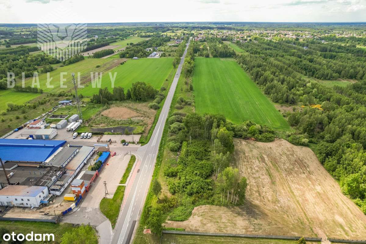 Pod produkcję, magazyny przy drodze krajowej Dk50 - Pełny obrazek: 5/16