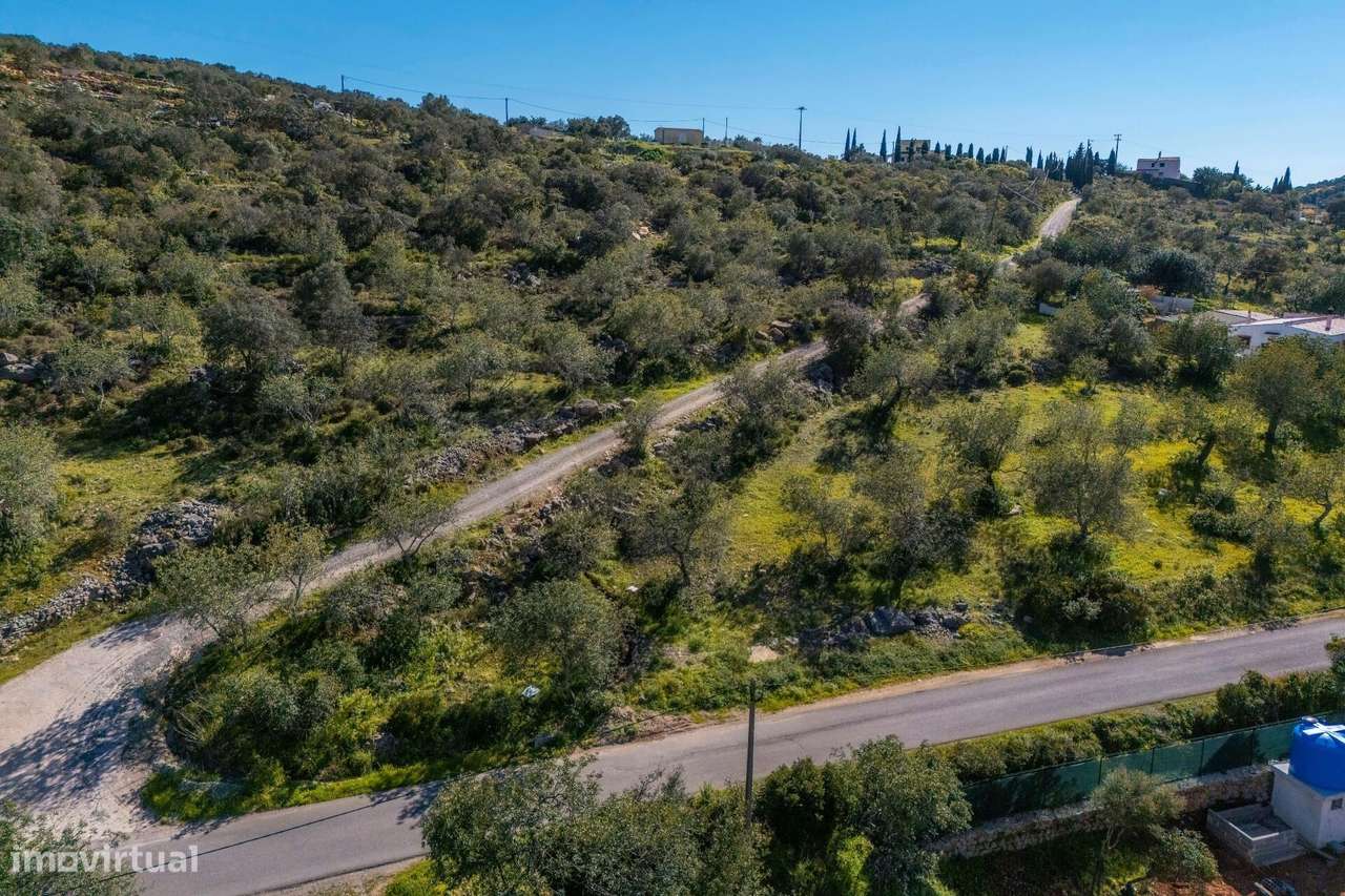 Terreno rustico com 9560m2, localizado em Azinheiro. - Grande imagem: 2/16