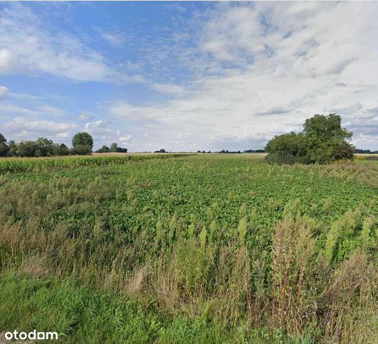 Atrakcyjne działki budowlane Stoczek-Kolonia urocza okolica gm. Niemce - Pełny obrazek: 5/6