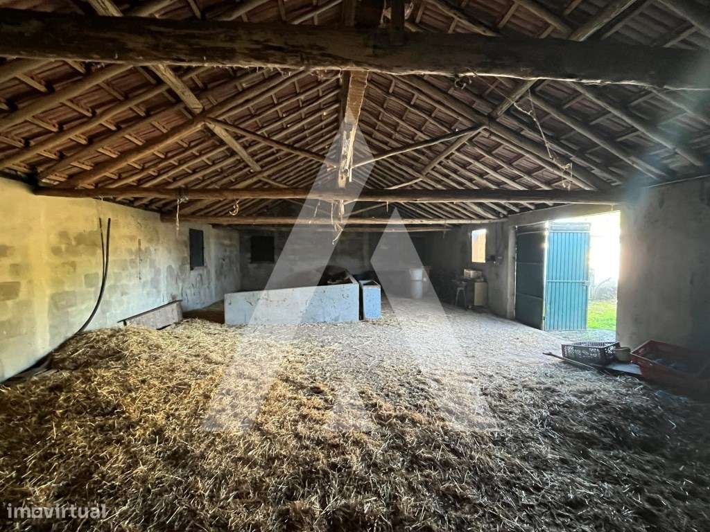 Moradia T4 + T1 com Terreno de 7.800 m² no Cadaval - Vista para a S...-40