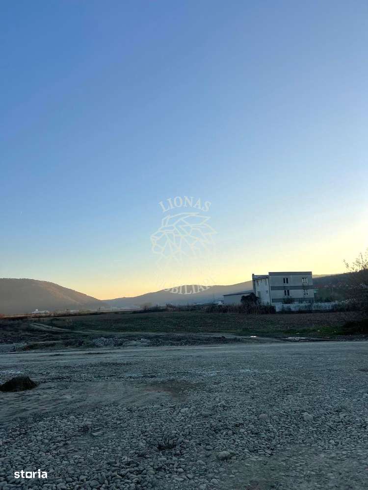 Teren 5800 mp-ideal hala, agricultura, investitie-Zona Groapa Saratii - Imagine principală: 1/3