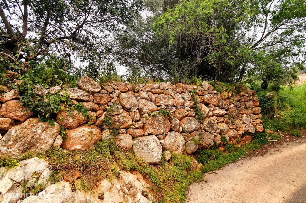 Terreno com viabilidade de Construção em Messines