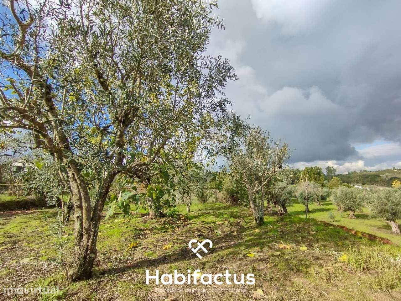 Terreno com Viabilidade de Construção – Paranhos da Beira, Seia - Grande imagem: 5/9