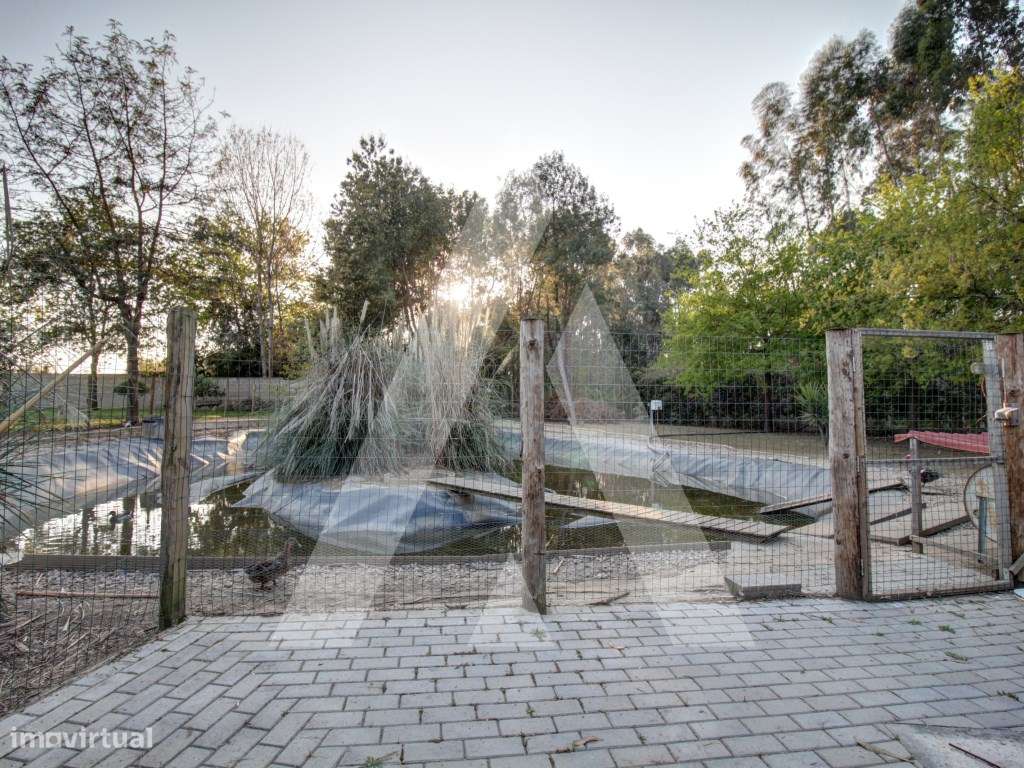 Moradia T4 de Luxo em Oliveira do Bairro-54