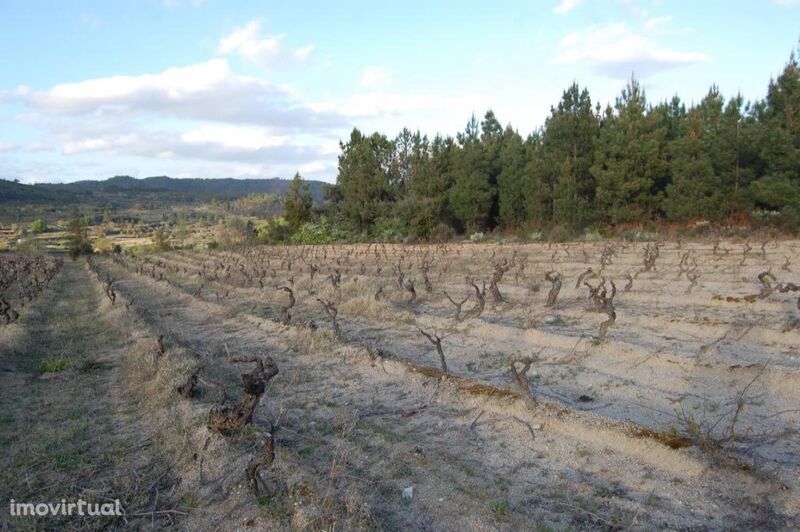 Terreno / Fundão, Três Povos