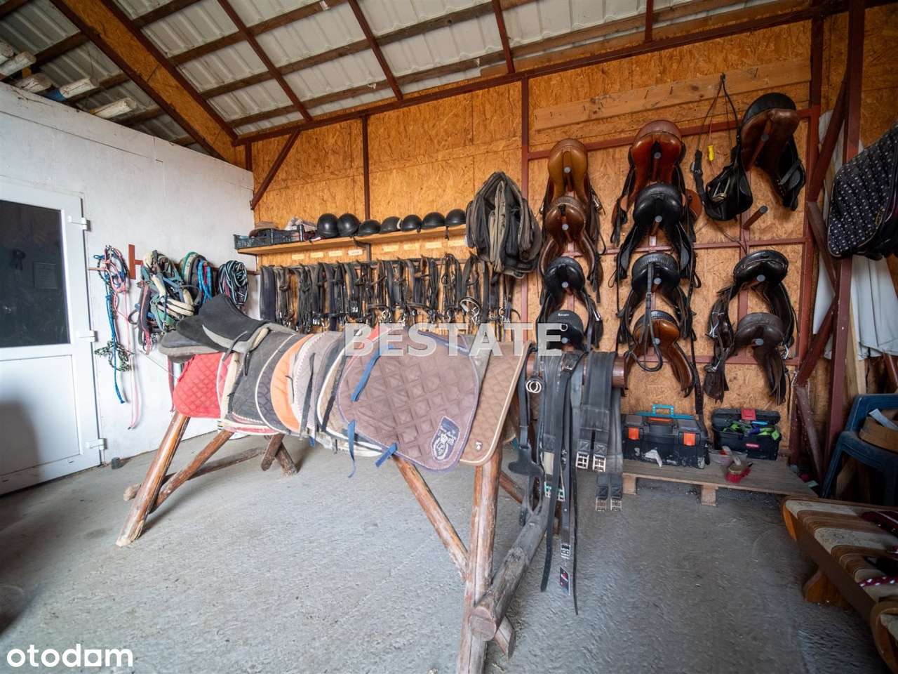 Ośrodek na sprzedaż, Pleśna-6