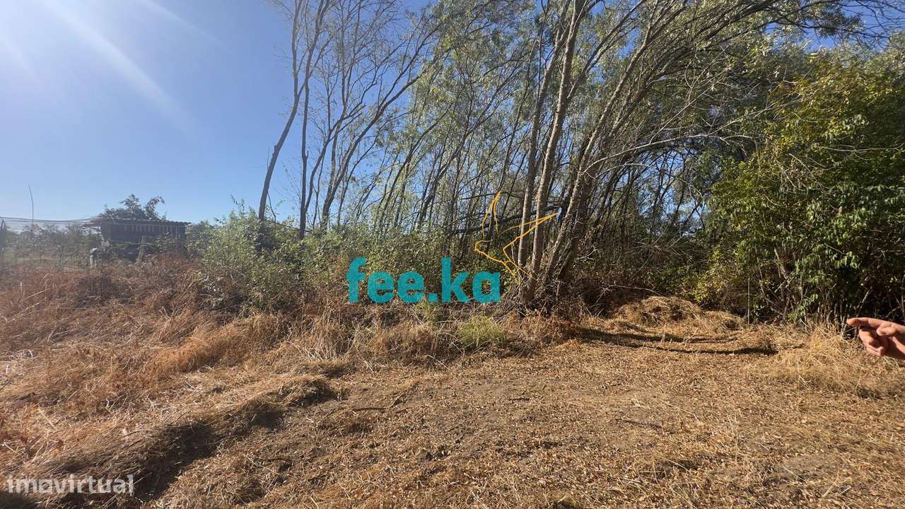 Terreno em Ladoeiro-26