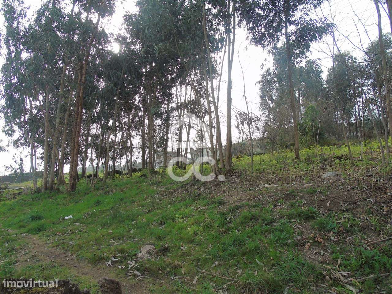 Terreno em Pedome - Grande imagem: 5/5