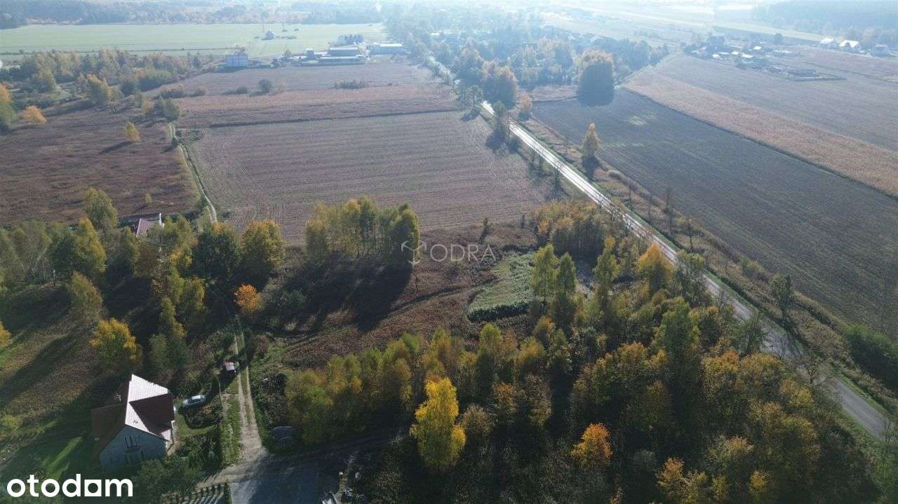 Działka usługowo-mieszkalna, ul. Wrocławska - Pełny obrazek: 5/7