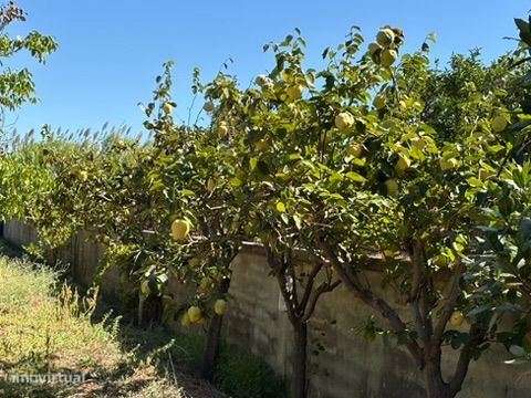 Terreno em zona Urbana com Cerca de 5.000 m² à Venda | Baixa de Pal...-21