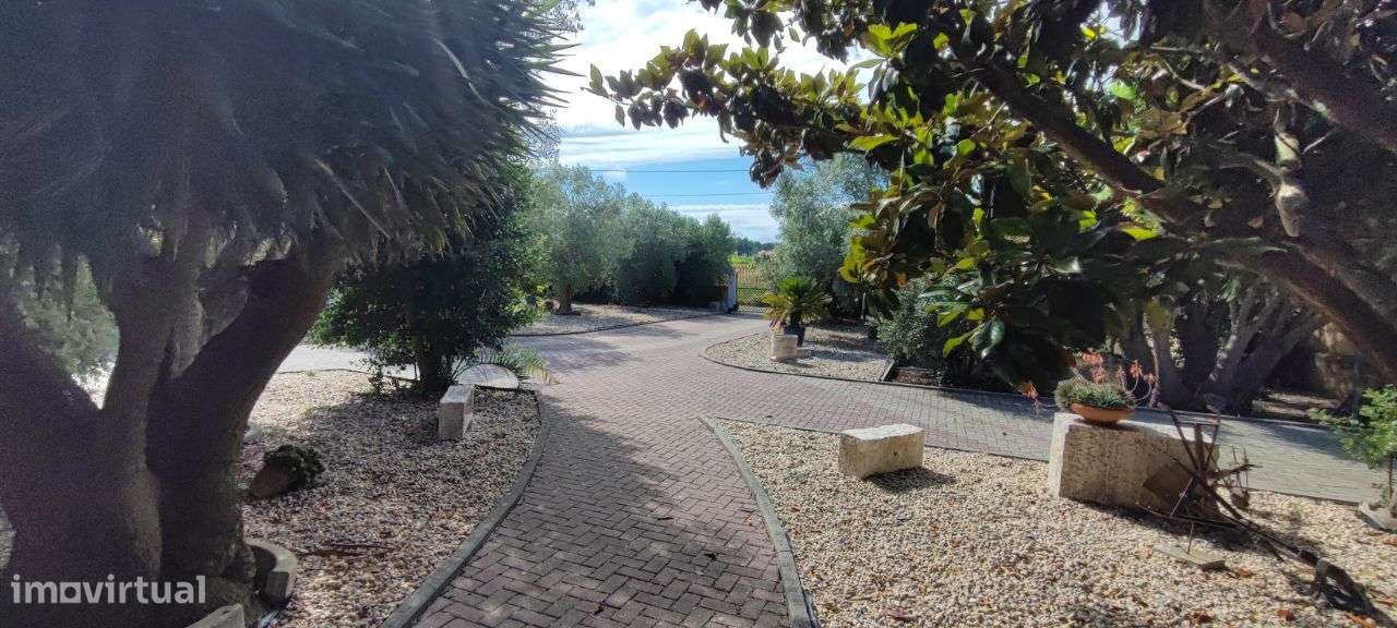 Moradia com 6 quartos, piscina e  Quinta envolvente em FEBRES - Grande imagem: 5/60