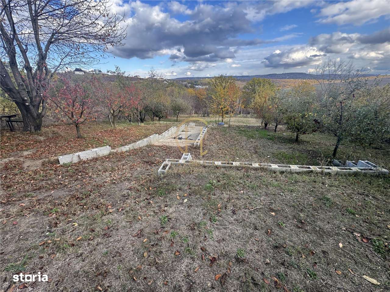 Vila single, arhitectura moderna, 1500 mp teren, beci-10