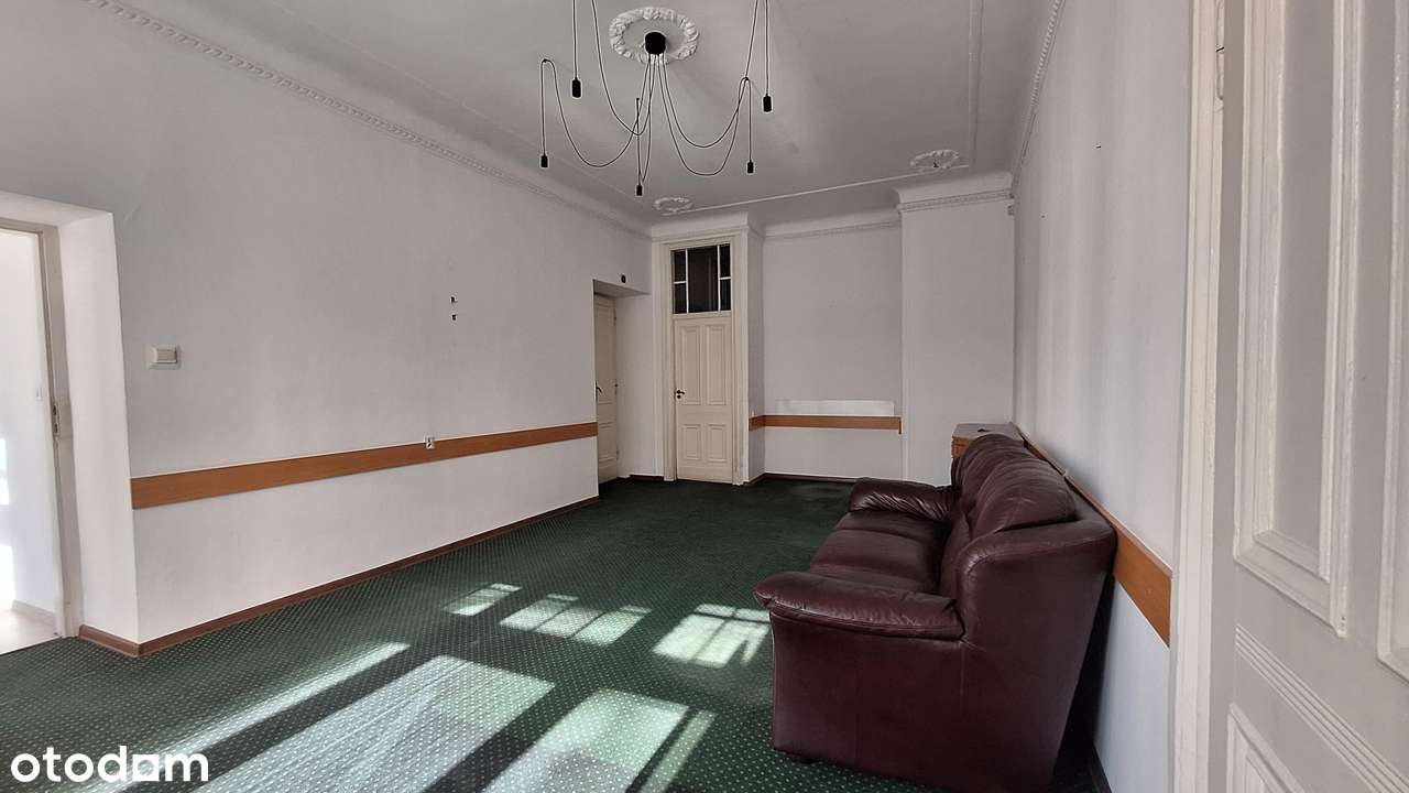 Lokal 173m2, 8 pokoi, kaminica, Warszawa Śródmieście, Lwowska - Pełny obrazek: 4/18