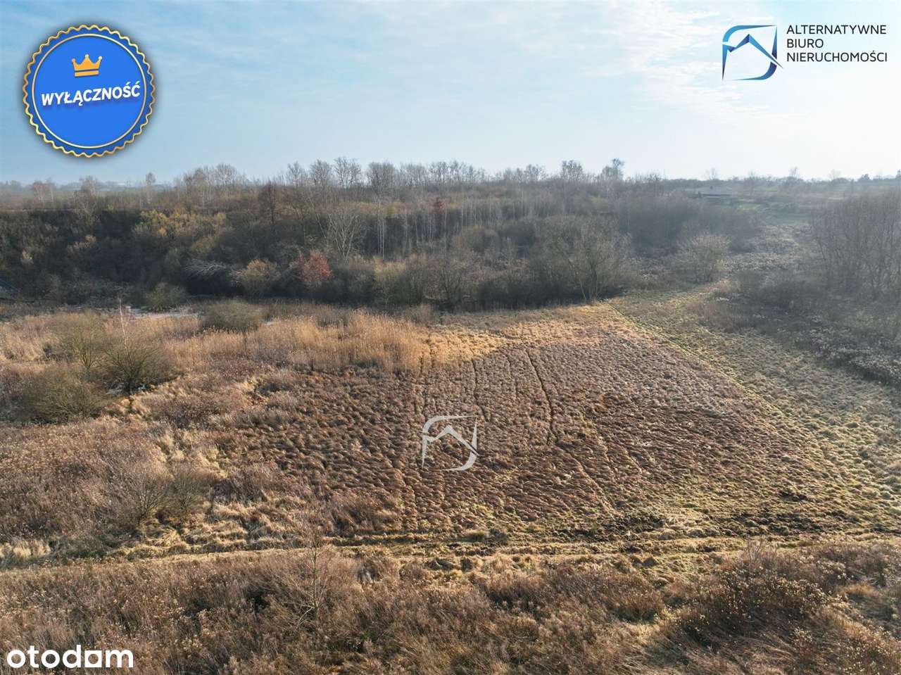 Działka rolna w Rudniku Gmina Wólka - Pełny obrazek: 3/12