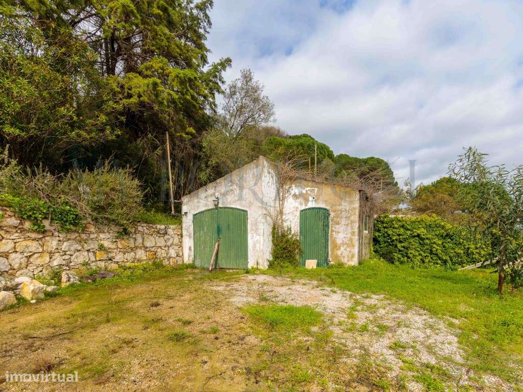 Quinta do Levante: Refúgio de Luxo com Projeto Aprovado no Coração ...-32