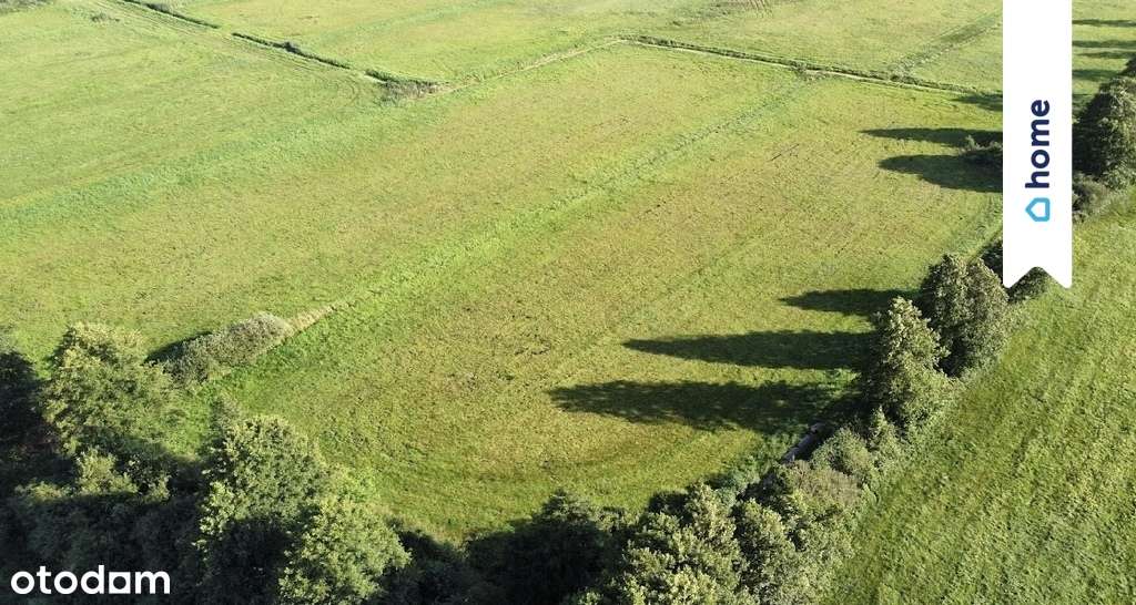 Duża działka inwestycyjna 13 000 m² | Żurczyn - Pełny obrazek: 5/8