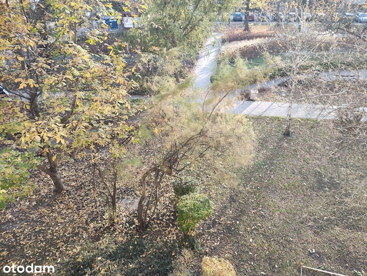 Swobodna - winda, balkon - Pełny obrazek: 5/5