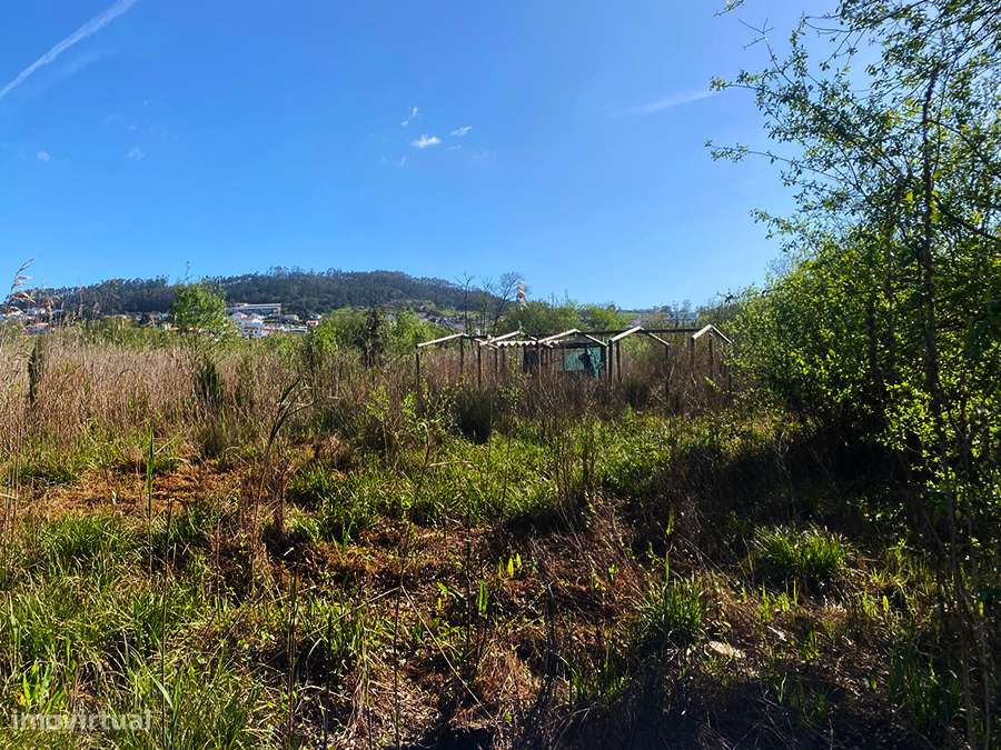 Terreno rústico plano, furo de água local tranquilo, luminoso, Maiorga - Grande imagem: 3/14