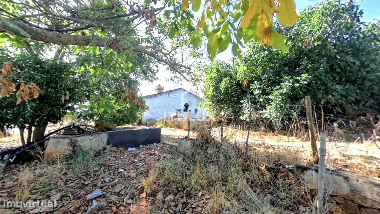 Quinta com 32.500 m2 em Elvas-Alentejo- Portugal - Grande imagem: 3/30