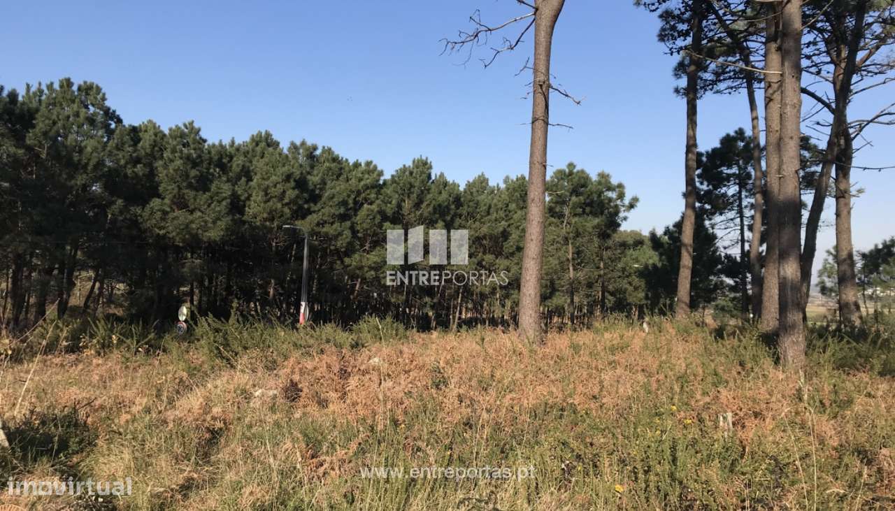 Venda de Terreno, Carreço, Viana do Castelo. - Grande imagem: 2/28