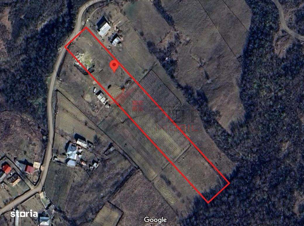 Teren Tomesti 3750MP - Imagine principală: 2/8