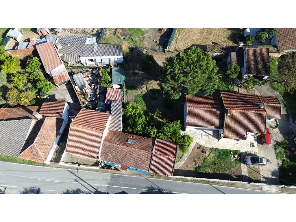 Vendese Quinta com Casa T4, Adega, Lagar e Terreno com Árvores de F...-11