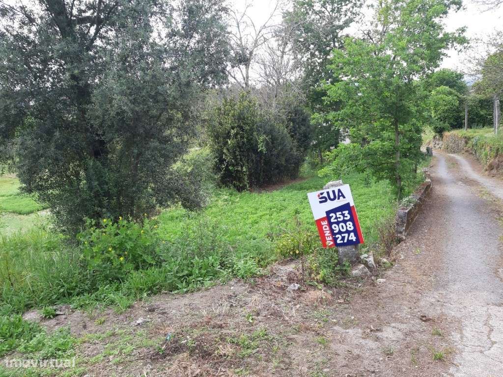 Terreno c/ Viabilidade de Construção - Fiscal - Grande imagem: 5/9