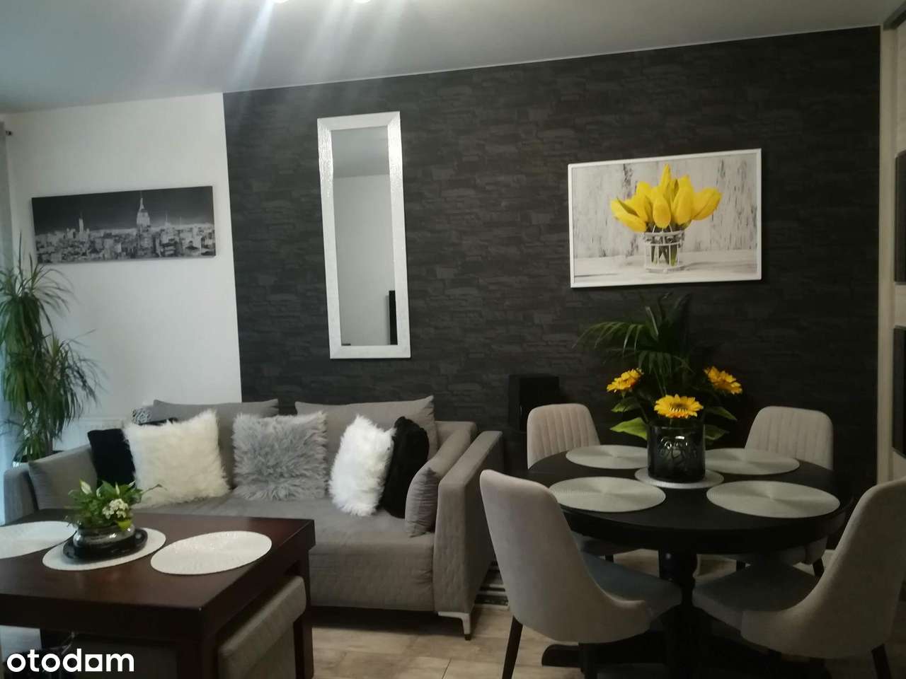 Komfortowe mieszkanie dwupokojowe z ładnym 50m2 ogrodem!