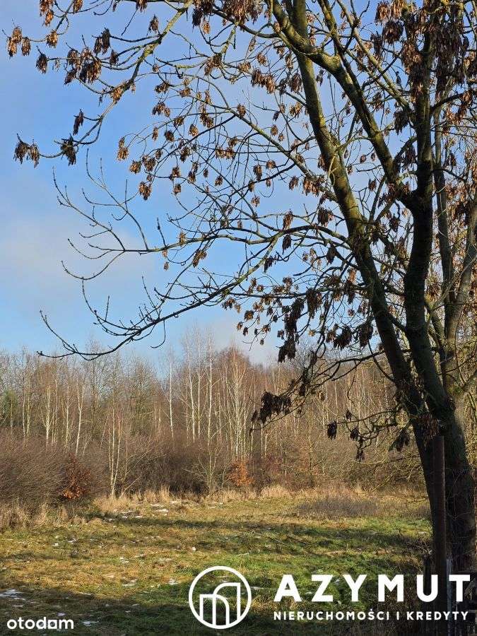 Domek blisko Legnicy duża działka  70 ar. - Pełny obrazek: 5/10