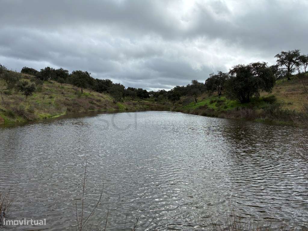 Quinta T2 em Serpa | Vista para a barragem-25