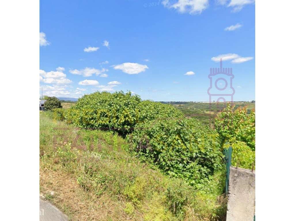 Terreno para construção com 882m2 em Pernes - Grande imagem: 5/6