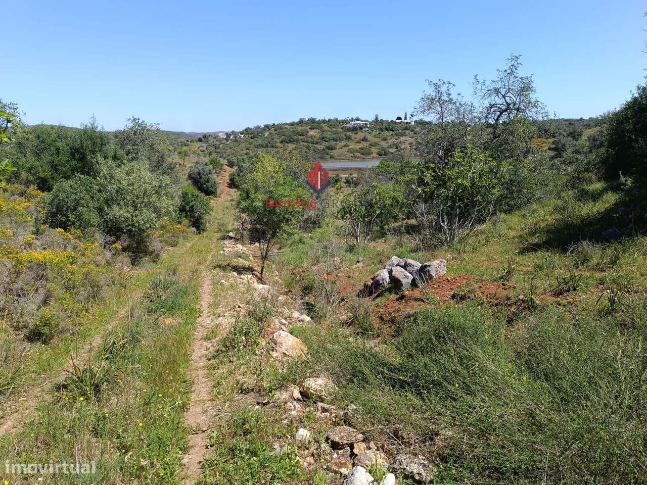 Quinta com 9 Hectares , junto ao rio Arade excelente investimento-6