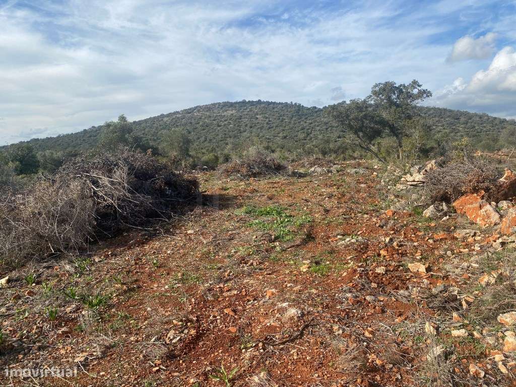 Lote de terreno rústico situado em zona muito tranquila, Boliqueime... - Grande imagem: 3/16