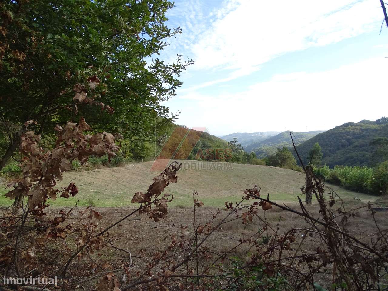 Moradia Rústica e Terreno!-15