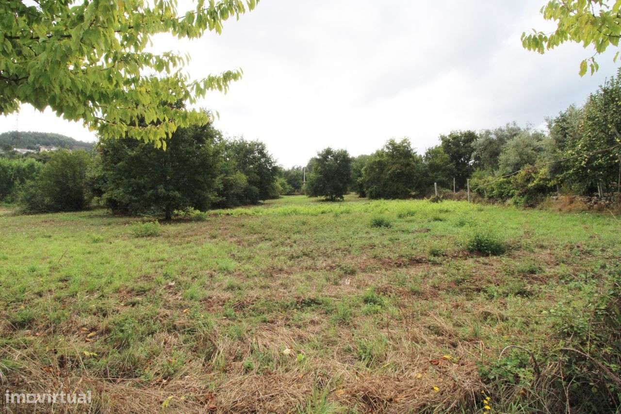 Quinta c/ 40.000m2- VOUZELA - Grande imagem: 5/33