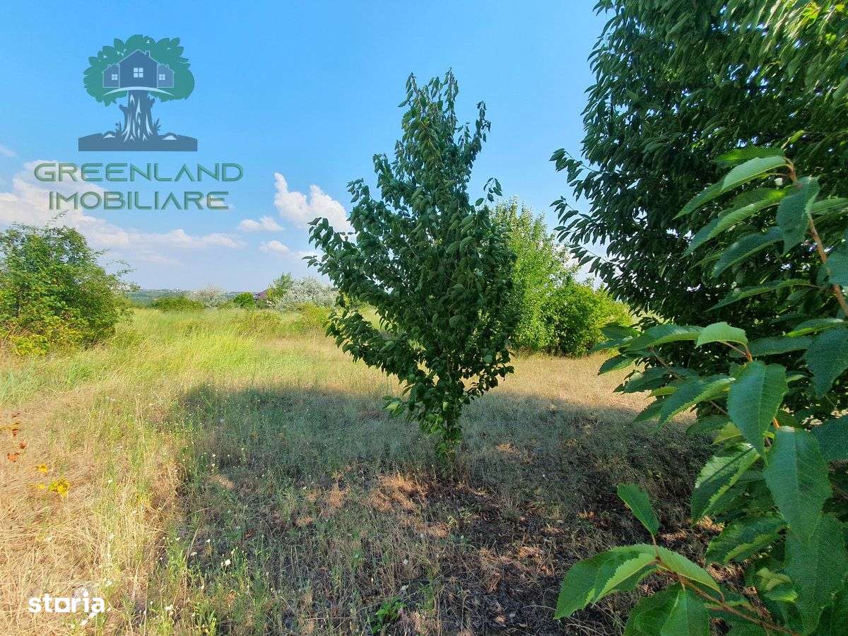 TEREN intravilan plat 617mp, PLATOUL BELDIMAN - Imagine principală: 1/11