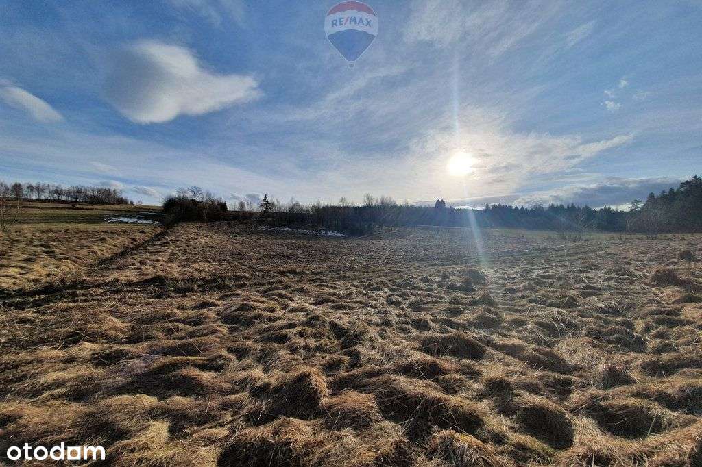 Działka budowlano usługowa – przy lesie. - Pełny obrazek: 4/18